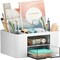 Pen Organizer with 2 Drawer, Multi-Functional Pencil Holder for Desk, Desk Organizers and Accessories with 5 Compartments + Drawer for Office Art Supplies (White)